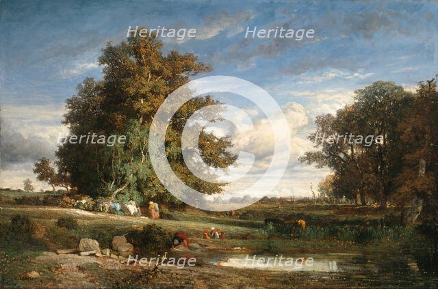 The Marsh, 1840. Creator: Constant Troyon.