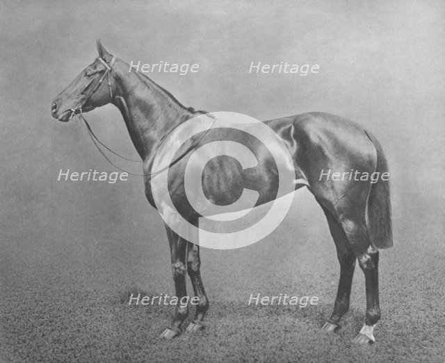 'Flair', 1911. Artist: Unknown.