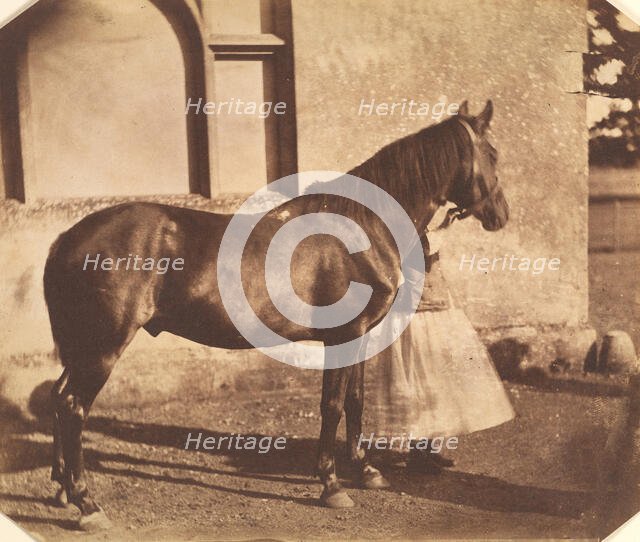 Sultan, mid-1850s. Creator: Mervyn Herbert Nevil Story-Maskelyne.