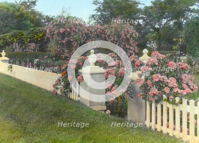 "Westlawn," Edward Tiffany Dyer house, Great Plains Road, Southampton, New York, c1915. Creator: Frances Benjamin Johnston.