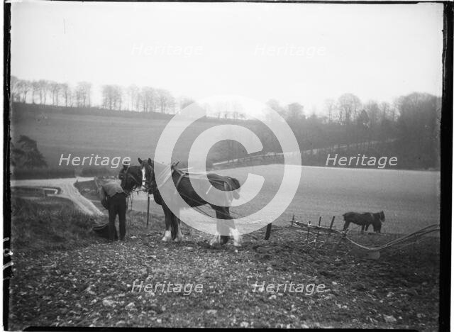 Courthill Farm, Nore Wood Lane, Slindon, Arun, West Sussex, 1908. Creator: Katherine Jean Macfee.