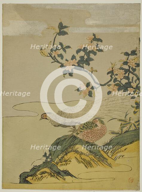 Pheasants under Branch of Peach Blossoms, c. 1764/75. Creator: Isoda Koryusai.