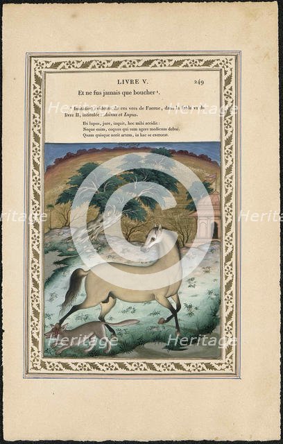 Le cheval et le loup (The Horse and the Wolf), 1837-1839. Creator: Imam Bakhsh Lahori (active 1830s-1840s).