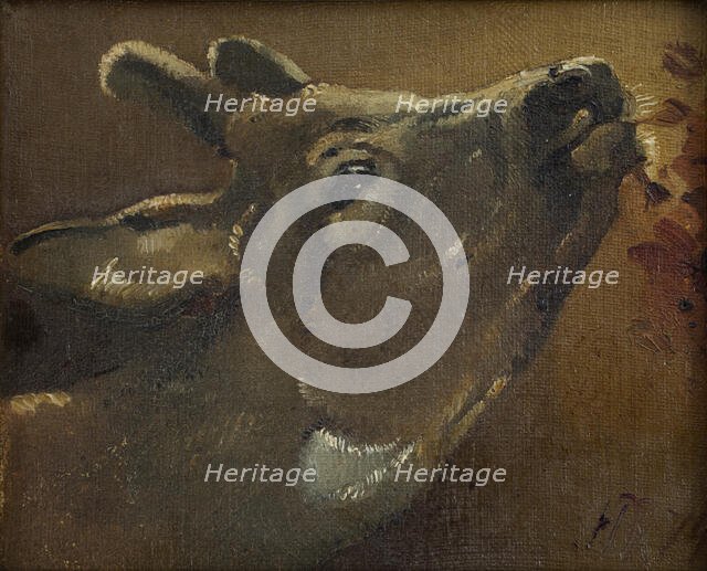 Study of a deer, 1874. Creator: Jorgen Pedersen Roed.