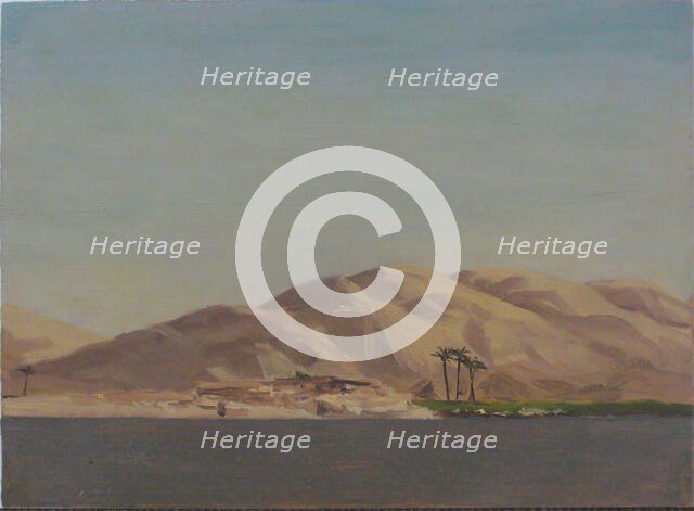 Four Palms on Verdant Field Near Nile, January 4, 1876. Creator: Lockwood de Forest.