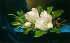 Giant Magnolias on a Blue Velvet Cloth, c. 1890. Creator: Martin Johnson Heade.