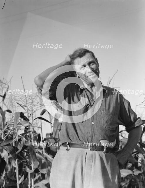 Drought refugee, Yakima Valley, Washington, 1939. Creator: Dorothea Lange.