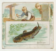 Catfish, from Fish from American Waters series (N39) for Allen & Ginter Cigarettes, 1889., Creator: Allen & Ginter.