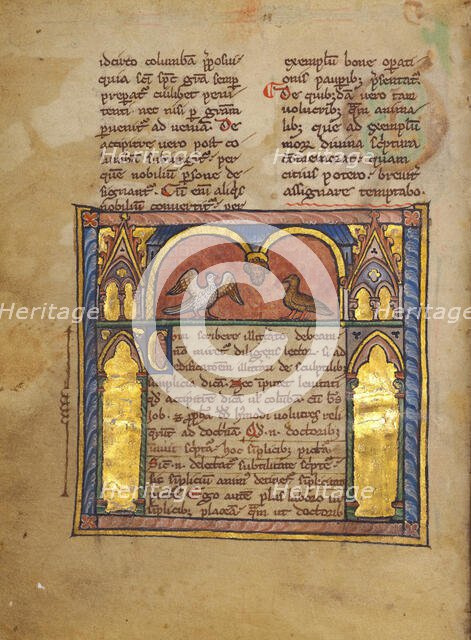 A Dove and a Falcon within an Arcade; Bestiary, about 1270. Creator: Unknown.