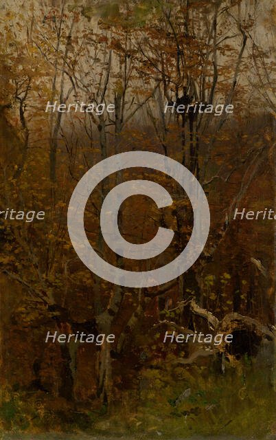 Autumn Hardwood Forest, 1878-1882. Creator: Ladislav Mednyanszky.