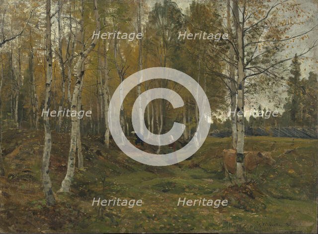 Birch Trees in Autumn, 1880. Creator: Gerhard Munthe.