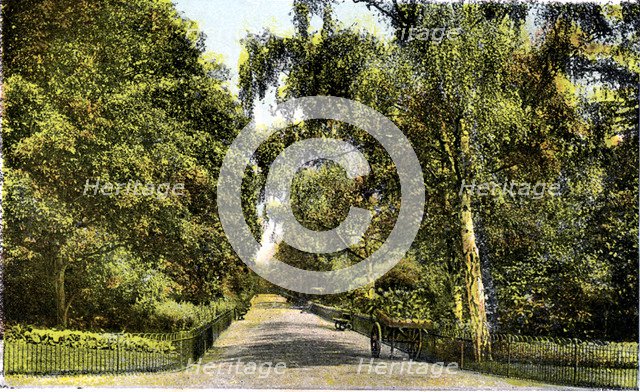 The Flower Walk, Kensington Gardens, London, 20th Century. Artist: Unknown