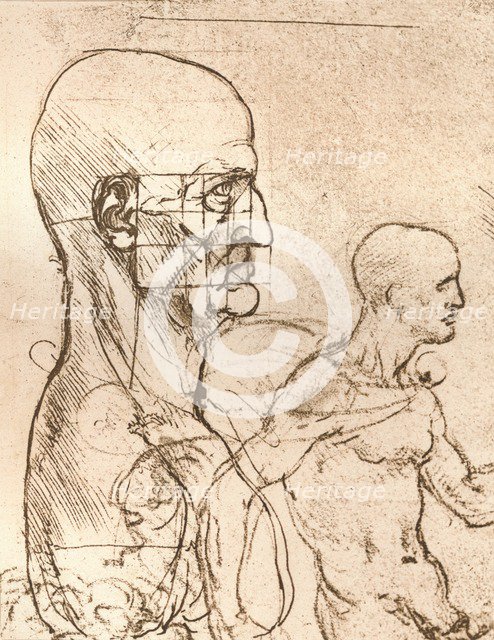 Drawing illustrating the theory of the proportions of the human figure, c1472-c1519 (1883). Artist: Leonardo da Vinci.