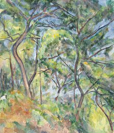 Undergrowth, between 1893 and 1894. Creator: Paul Cezanne.
