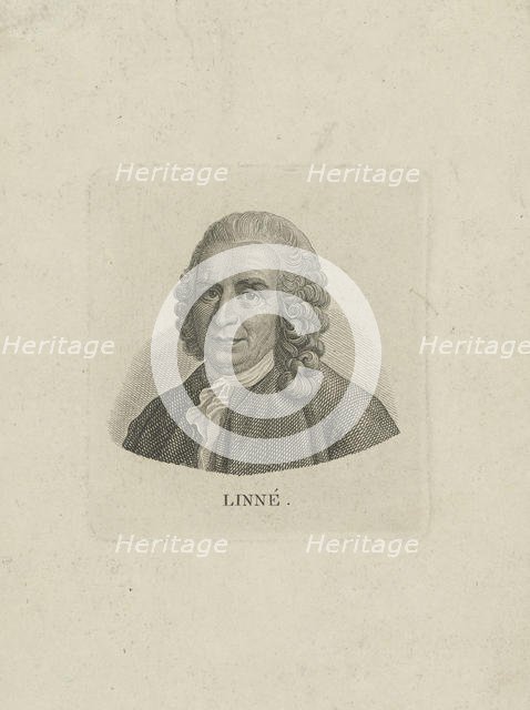 Portrait of Carl Linnaeus (1707-1778), c. 1780. Creator: Anonymous.