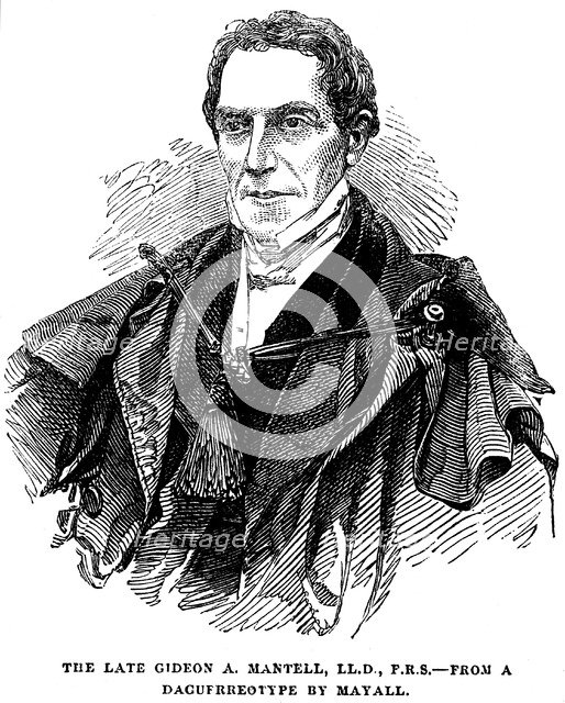Gideon Algernon Mantell, English geologist, 1852. Artist: Anon
