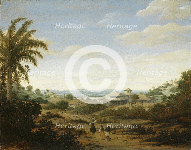 Landscape on the Rio Senhor de Engenho, Brazil.