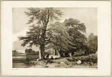 Beech, from The Park and the Forest, 1841. Creator: James Duffield Harding.