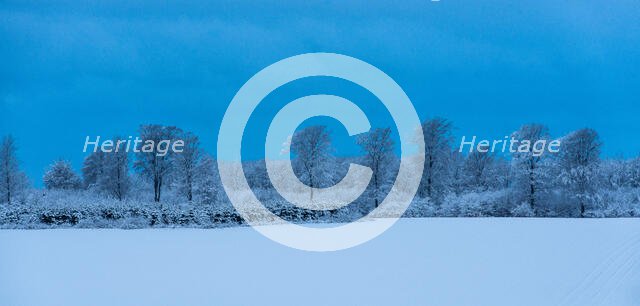 Danish Winter Morning. Creator: Dorte Verner.