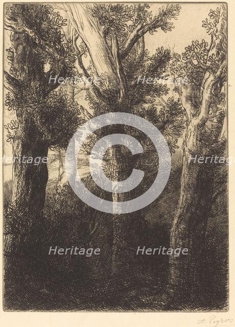 German Forest, Downley. Creator: Alphonse Legros.