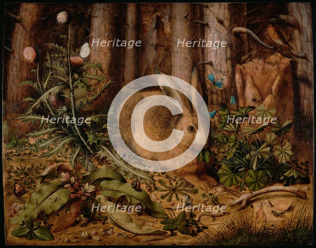 A Hare in the Forest, ca 1585. Artist: Hoffmann, Hans (1530-1592)
