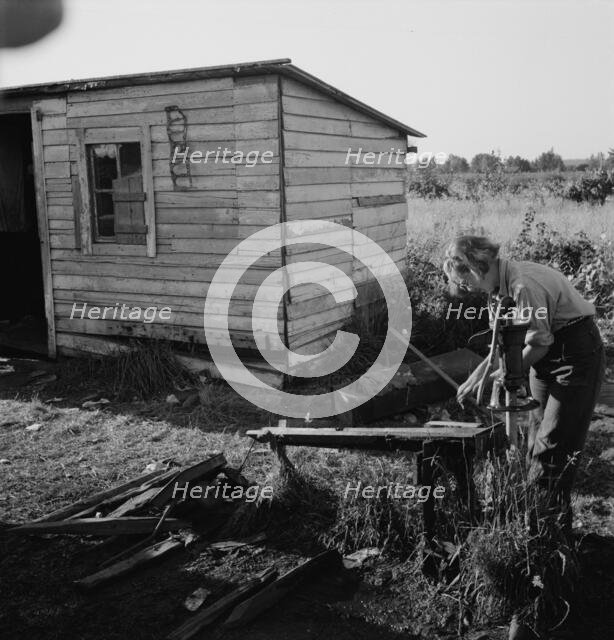 Possibly: Bean pickers' children in camp at end..., near West Stayton, Marion County, Oregon, 1939. Creator: Dorothea Lange.