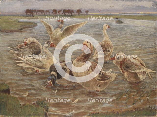 Geese on the Island of Saltholm, 1897. Creator: Theodor Esbern Philipsen.