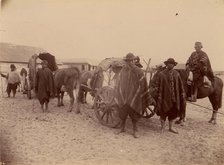 Group of Indians with Cart and Oxen, 1880s. Creator: Unknown.