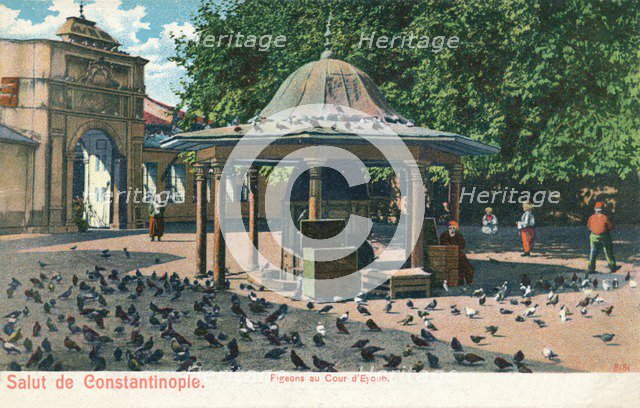 'Salut de Constantinople - Pigeons au Cour d'Eyoub', c1900. Artist: Unknown.