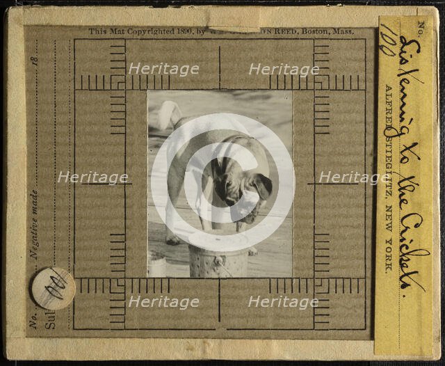 Listening to the Crickets, c. 1900. Creator: Alfred Stieglitz.