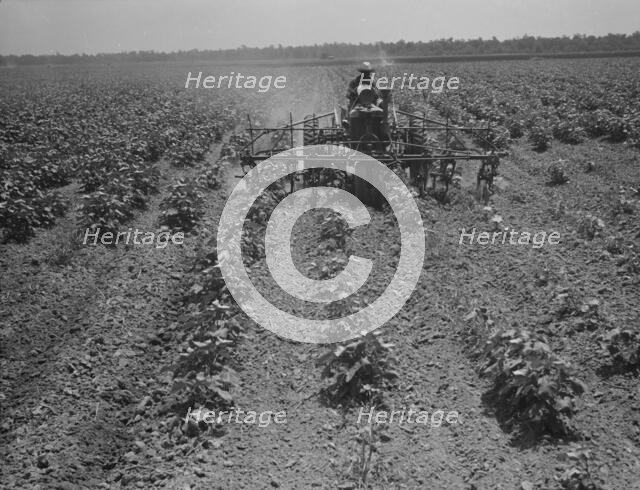 Tractor on the Aldridge Plantation, Mississippi, 1937. Creator: Dorothea Lange.
