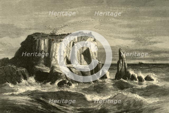 'Coast Scene, Marin County', 1872. Creator: Andrew Varick Stout Anthony.