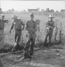 Farm Security Administration (FSA) cooperative farm, Lake Dick, Arkansas, 1939. Creator: Dorothea Lange.
