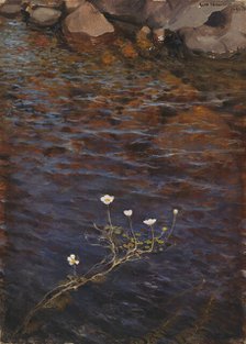 Pond Water Crowfoot, 1895. Creator: Eero Jarnefelt.