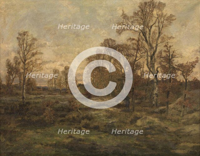 The Forest of Fontainebleau - Autumn Evening, c1860-1899. Creator: Theodore Baron.