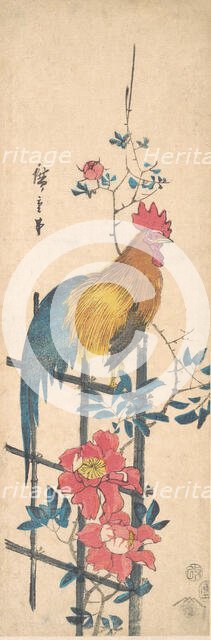 Peony and Cock, 1854., 1854. Creator: Ando Hiroshige.