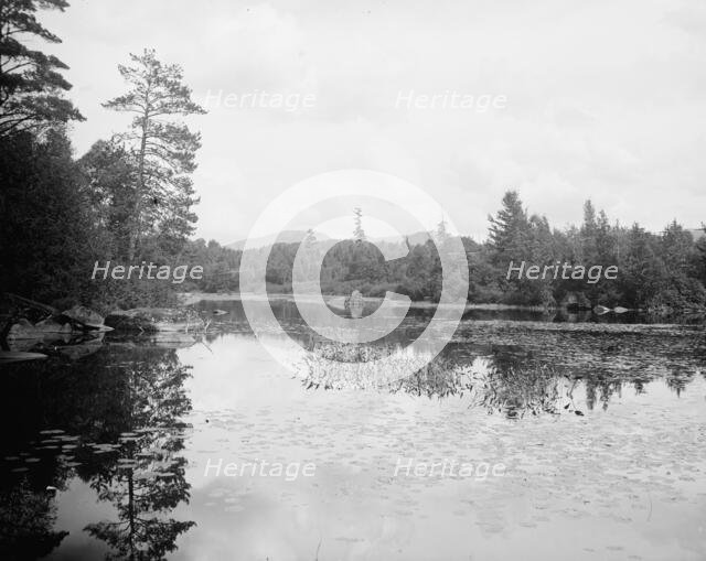Saranac River below Bartlett's carry, Adirondack Mts., N.Y., between 1900 and 1910. Creator: Unknown.
