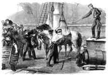 The Reinforcements for Canada: shipping horses on board the Calcutta at Woolwich by the..., 1862. Creator: Unknown.