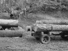 Members of Ola self-help sawmill co-op snaking a fir log down to the truck, Gem County, Idaho, 1939. Creator: Dorothea Lange.
