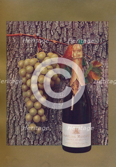 'An advertisement for Sparkling Muscatel', c1908. Artist: John Swain & Son.