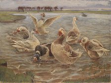Geese on the Island of Saltholm, 1897. Creator: Theodor Esbern Philipsen.