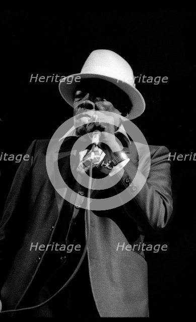 John Lee Hooker, Royal Festival Hall, London, 1988.  Artist: Brian O'Connor.