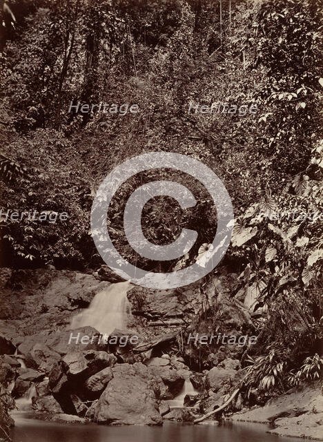 Tropical Scenery, Cascade, Limon River, 1871. Creator: John Moran.