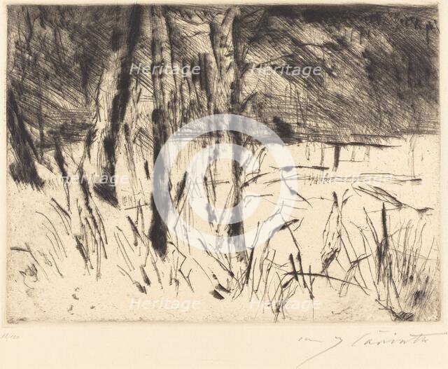 Tiergarten (Zoological Garden), 1922. Creator: Lovis Corinth.