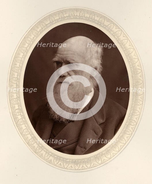 Portrait of Charles Darwin (1809-1882), 1877. Creator: Photo studio Lock & Whitfield (active 1856-1894).