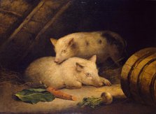 Pigs, late 18th century. Creator: George Morland.