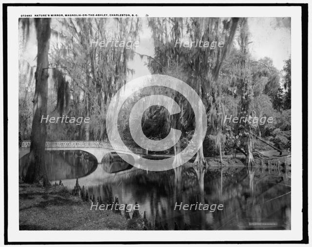 Nature's mirror, Magnolia-on-the-Ashley, Magnolia Gardens, Charleston, S.C., between 1910 and 1920. Creator: Unknown.