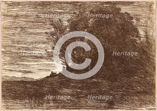 The Hermit's Woods, or the Banks of Lake Trasimène (Le Bois de l'Hermite, ou les...), 1858. Creator: Jean-Baptiste-Camille Corot.