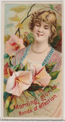 Morning Glories: Bonds of Affection, from the series Floral Beauties and Language of Flowe..., 1892. Creator: Donaldson Brothers.