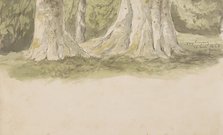Tree trunks, 1868. Creator: Johannes Tavenraat.